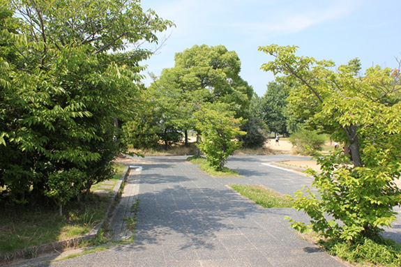 長池中央公園